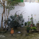 Casa Térrea à venda com 3 quartos em Imirim, São Paulo, SP