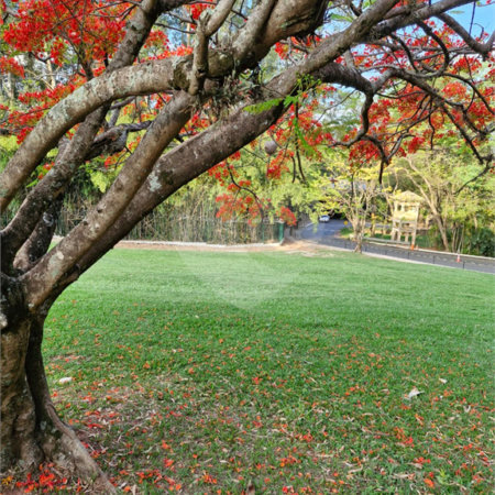 Terreno à venda no condomínio Terras de Santa Teresa, Itupeva - SP