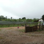 Sítio à venda com 2 quartos em Gramadão, São Miguel Arcanjo, SP