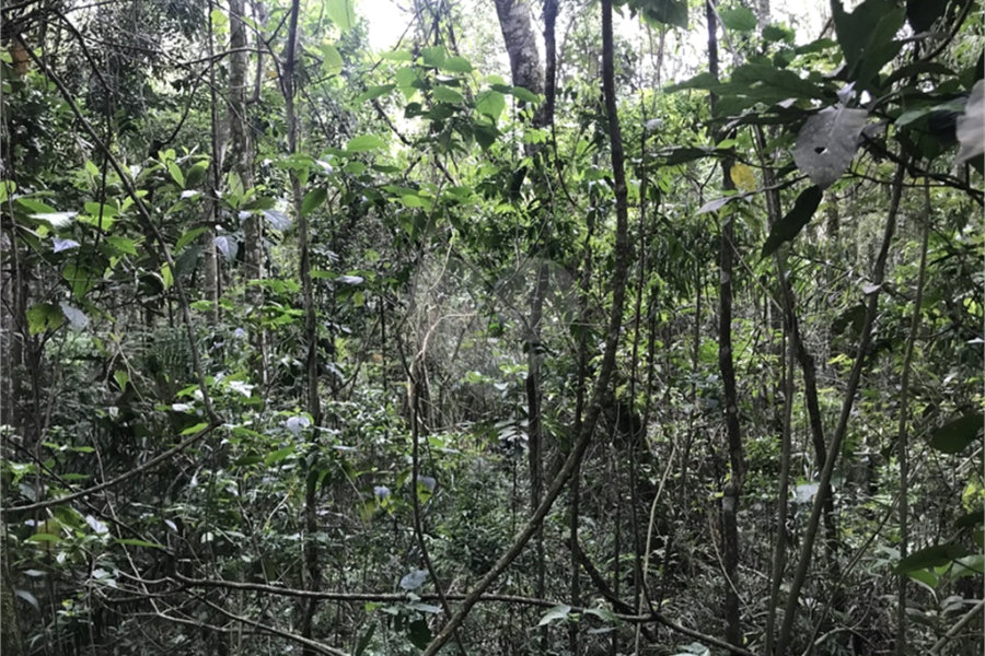 Terreno à venda em Serra da Cantareira, Mairiporã, SP