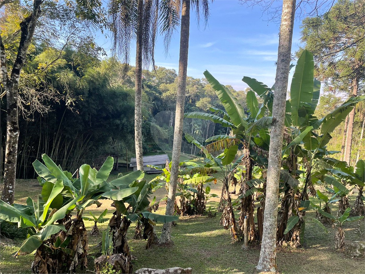 Sítio à venda com 4 quartos, sendo 1 suíte, em Caete (mailasqui), São Roque, SP