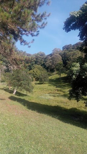 Sítio com 10 dormitórios à venda, 120000 m² por R$ 1.650.000,00 - Bairro Carmo Messias - Ibiúna/SP