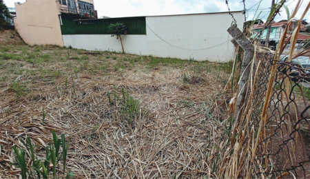 Terreno à venda em Jardim das Vitórias Régias, Valinhos, SP