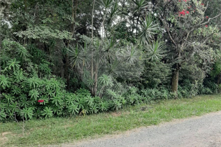 Casa Térrea à venda ou para alugar com 2 quartos em Colinas do Mosteiro de Itaici, Indaiatuba, SP