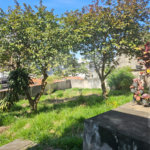 Casa à venda com 5 quartos em Mandaqui, São Paulo, SP