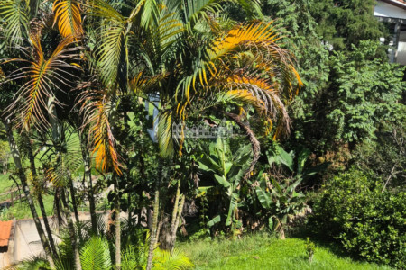 Casa à venda com 3 suítes no condomínio Portal Dos Nobres, Atibaia - SP