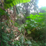 Terreno à venda em Casa Verde, São Paulo, SP