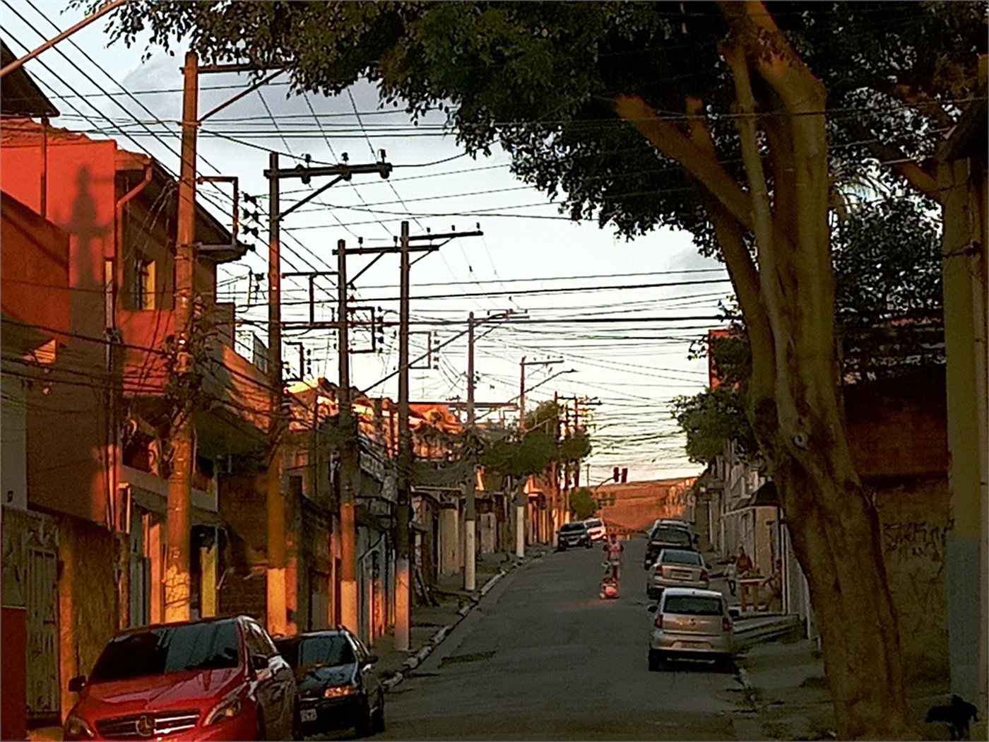 Terreno à venda com 2 quartos em Casa Verde, São Paulo, SP
