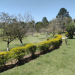 Sítio à venda com 4 quartos no Centro, Araçoiaba da Serra, SP