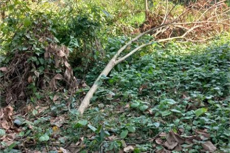 Terreno à venda em Vila Tramontano, São Paulo, SP