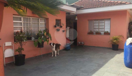 Casa Térrea à venda com 3 quartos em Vila Nova Cachoeirinha, São Paulo, SP