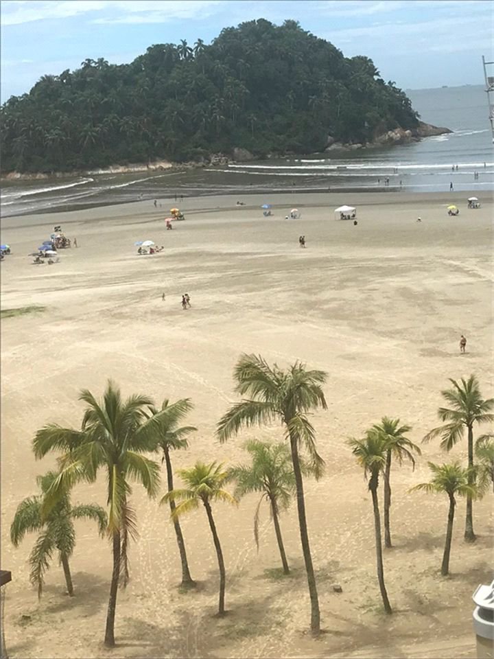 Apartamento Residencial à venda, José Menino, Santos - AP0530.