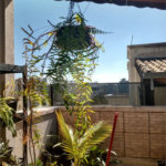 Cobertura à venda com 3 quartos em Jardim Umarizal, São Paulo, SP