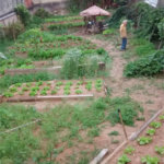 Terreno à venda em Horto, São Paulo, SP