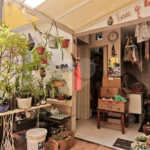 Sobrado à venda com 3 quartos, sendo 1 suíte, em Mandaqui, São Paulo, SP