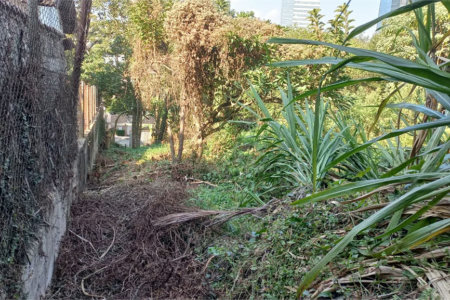 Terreno à venda em Vila Tramontano, São Paulo, SP