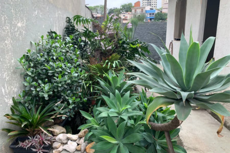 Casa à venda com 4 quartos em Vila Ipojuca, São Paulo, SP