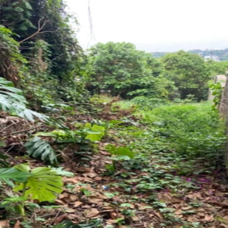 Terreno à venda em Jardim Leonor, São Paulo, SP