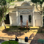 Apartamento à venda com 3 quartos, sendo 1 suíte, em Lauzane Paulista, São Paulo, SP