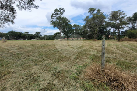 Loteamento Residencial no Condomínio Vila Pinhal do Broa.