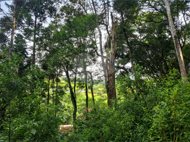 Terreno à venda em Serra da Cantareira, Mairiporã, SP