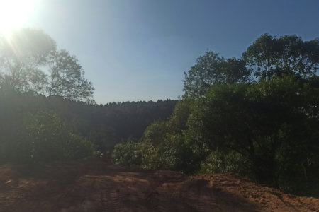 Fazenda Elisa - Fase 3