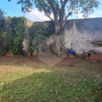 Casa Térrea à venda ou para alugar com 3 suítes em Vila Isolina Mazzei, São Paulo, SP