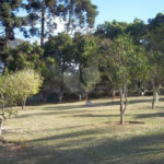 Sítio à venda com 6 quartos, sendo 3 suítes, em Parque Nova Xampirra, Itatiba, SP