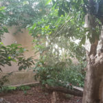 Sobrado à venda com 3 quartos, sendo 1 suíte, em Vila Nova Cachoeirinha, São Paulo, SP
