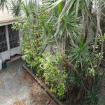 Sobrado à venda com 3 quartos, sendo 2 suítes, em Brooklin, São Paulo, SP