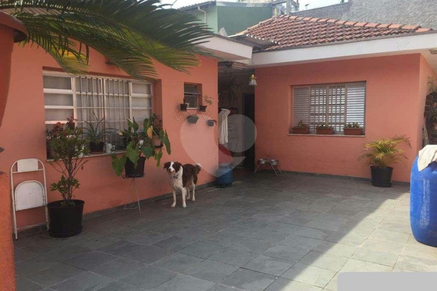 Casa Térrea à venda com 3 quartos em Vila Nova Cachoeirinha, São Paulo, SP