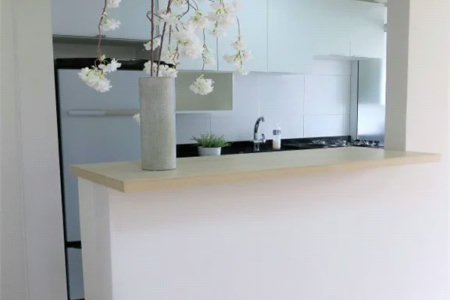 Apartamento à venda com 2 quartos, sendo 1 suíte, em Parque Reboucas, São Paulo, SP