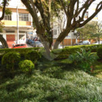 Apartamento à venda com 3 quartos, sendo 1 suíte,  em Brooklin, São Paulo, SP
