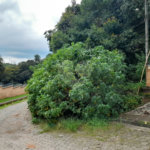 Terreno à venda em Serra da Cantareira, Mairiporã, SP