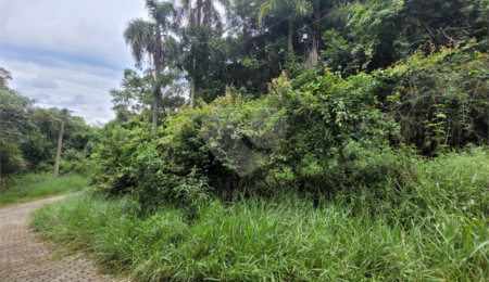 Terreno à venda em Serra da Cantareira, Mairiporã, SP
