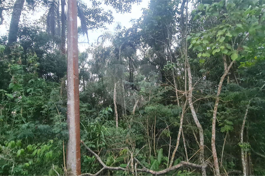 Condomínio à venda em Serra da Cantareira, Mairiporã, SP