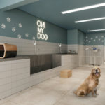 Soma Galeria