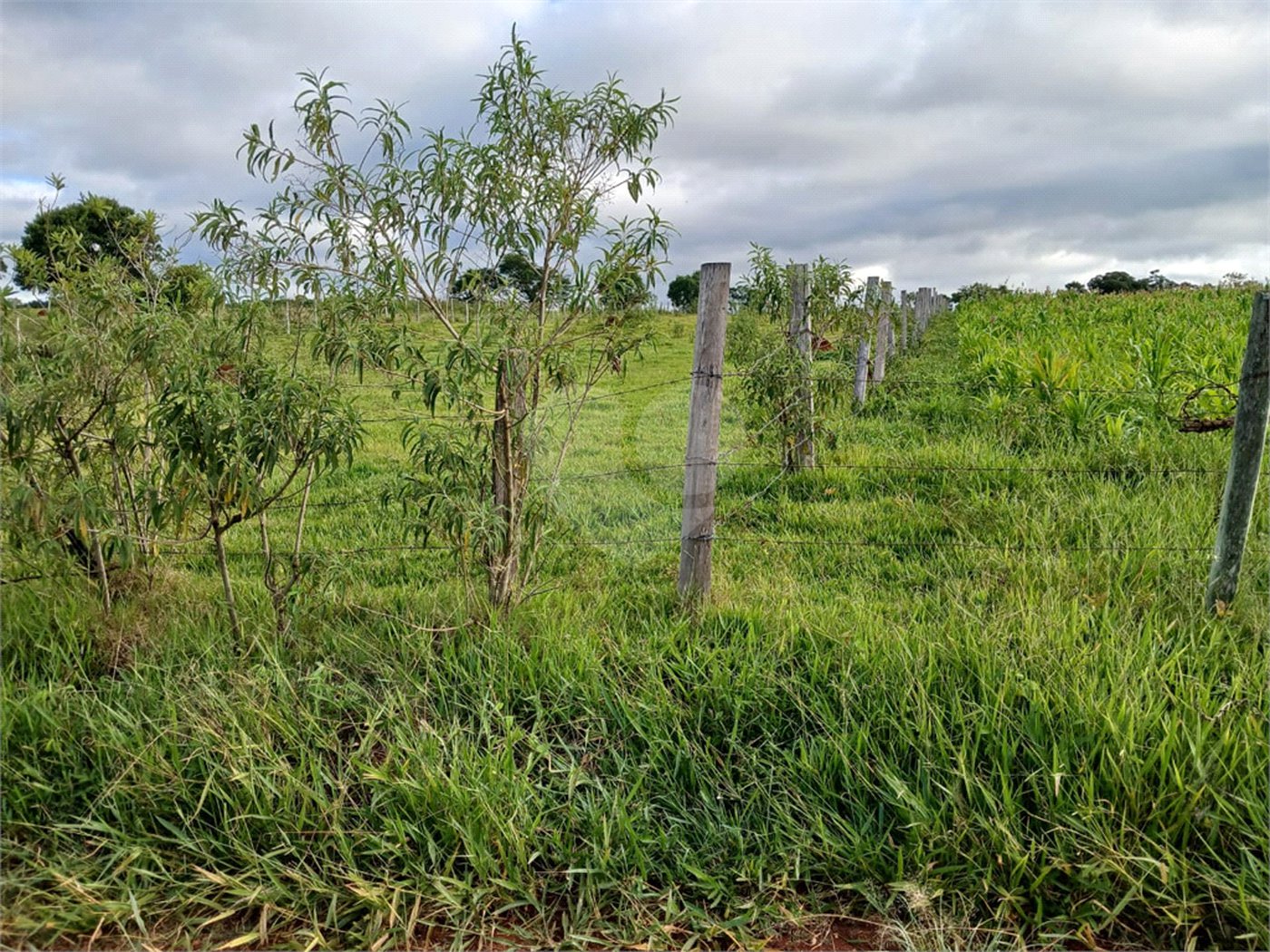 Terreno à venda em Área Rural de Guareí, Guareí, SP