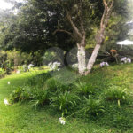 Chácara à venda com 3 quartos, sendo 1 suíte,  em Loteamento Jardim Nova Ibiúna, Ibiúna, SP