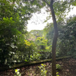 Casa à venda com 3 quartos, sendo 1 suíte, em Jardim Marajoara, São Paulo, SP