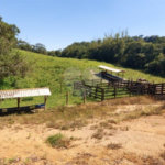 Sítio à venda com 5 quartos, sendo 1 suíte,  em Área Rural de Tapiraí, Tapiraí, SP