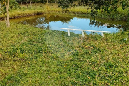 Sítio à venda com 2 quartos em Área Rural de Lagoinha, Lagoinha, SP