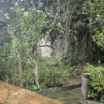Terreno à venda ou para alugar em Horto, São Paulo, SP
