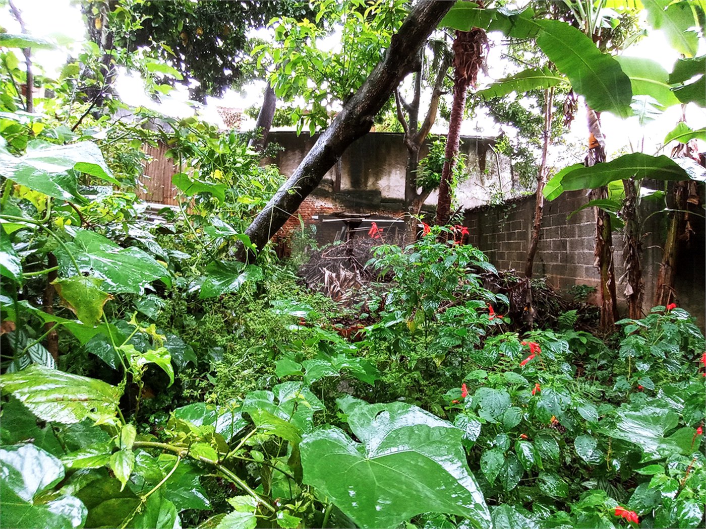 Casa Térrea à venda com 3 quartos em Tremembé, São Paulo, SP