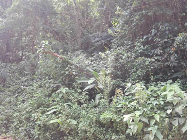 Terreno à venda em Serra da Cantareira, Mairiporã, SP