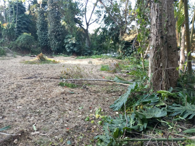 Terreno à venda com 1 suíte em Alto da Boa Vista, São Paulo, SP