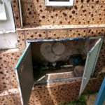Sobrado à venda com 3 quartos, sendo 1 suíte, em Água Fria, São Paulo, SP