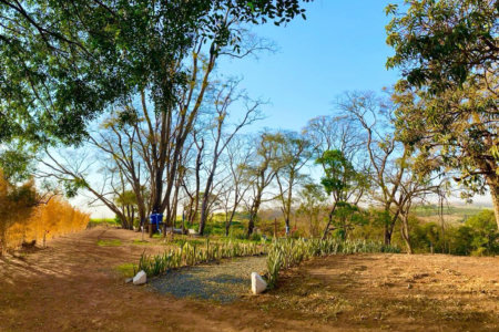 Sítio na cidade de Taiuva-SP.