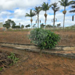 Chácara à venda com 5 quartos em Estância Conceição, Itapetininga, SP