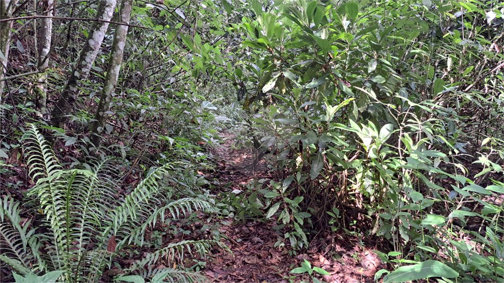 Terreno à venda em Serra da Cantareira, Mairiporã, SP
